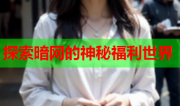 探索暗网的神秘福利世界