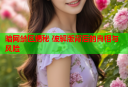 暗网禁区揭秘 破解版背后的真相与风险