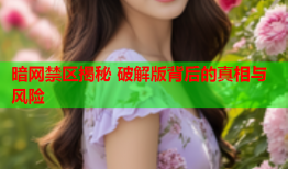 暗网禁区揭秘 破解版背后的真相与风险