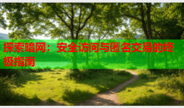探索暗网：安全访问与匿名交易的终极指南