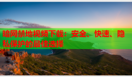 暗网禁地视频下载：安全、快速、隐私保护的最佳选择