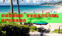 安卓登录暗网：安全匿名浏览与隐私保护的完美结合