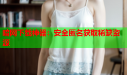 暗网下载神器：安全匿名获取稀缺资源