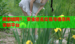 探索暗网1：安全匿名交易与信息共享新平台