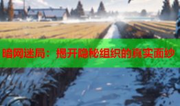 暗网迷局：揭开隐秘组织的真实面纱