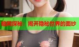 暗网探秘：揭开隐秘世界的面纱