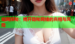 暗网探秘：揭开隐秘网络的真相与风险