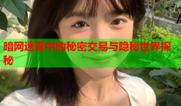 暗网迷雾中的秘密交易与隐秘世界探秘