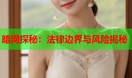 暗网探秘：法律边界与风险揭秘
