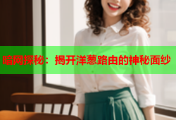 暗网探秘：揭开洋葱路由的神秘面纱