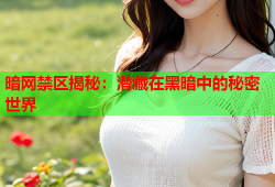 暗网禁区揭秘：潜藏在黑暗中的秘密世界