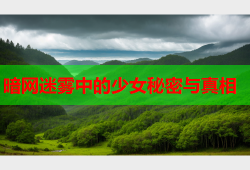 暗网迷雾中的少女秘密与真相