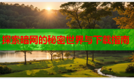 探索暗网的秘密世界与下载指南