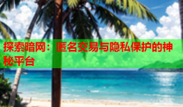 探索暗网：匿名交易与隐私保护的神秘平台