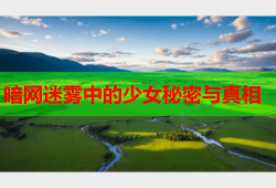 暗网迷雾中的少女秘密与真相