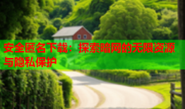 安全匿名下载：探索暗网的无限资源与隐私保护