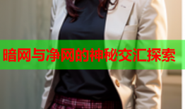 暗网与净网的神秘交汇探索