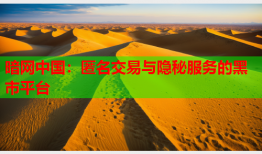 暗网中国：匿名交易与隐秘服务的黑市平台