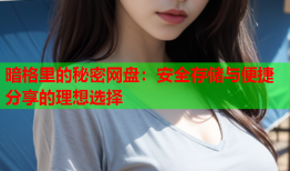 暗格里的秘密网盘：安全存储与便捷分享的理想选择