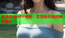 暗网禁地APP揭秘：交友新天地的神秘面纱