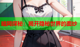 暗网探秘：揭开隐秘世界的面纱