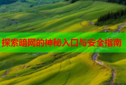 探索暗网的神秘入口与安全指南