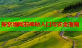 探索暗网的神秘入口与安全指南