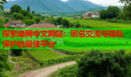 探索暗网中文网站：匿名交流与隐私保护的最佳平台