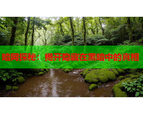 暗网探秘：揭开隐藏在黑暗中的真相