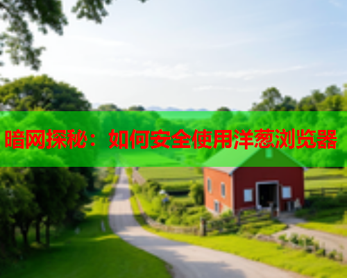 暗网探秘：如何安全使用洋葱浏览器