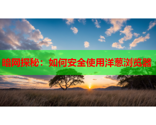 暗网探秘：如何安全使用洋葱浏览器