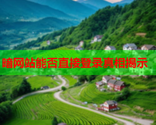 暗网站能否直接登录真相揭示