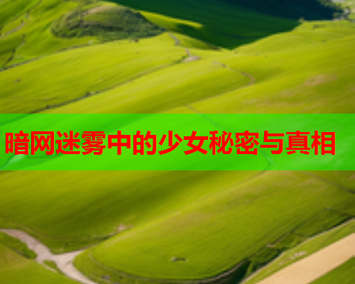 暗网迷雾中的少女秘密与真相