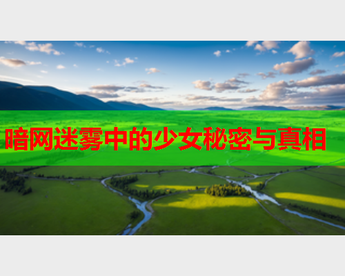 暗网迷雾中的少女秘密与真相