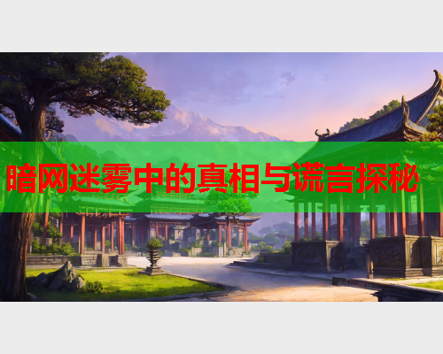 暗网迷雾中的真相与谎言探秘