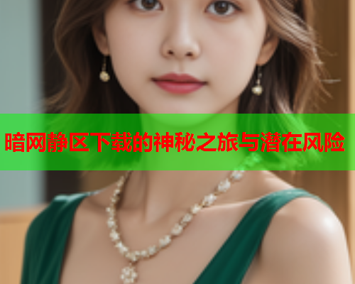 暗网静区下载的神秘之旅与潜在风险