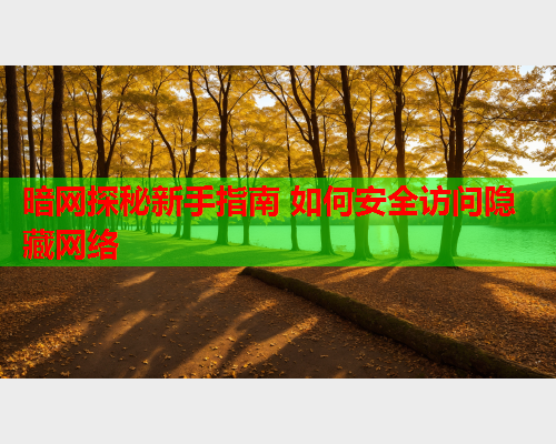 暗网探秘新手指南 如何安全访问隐藏网络