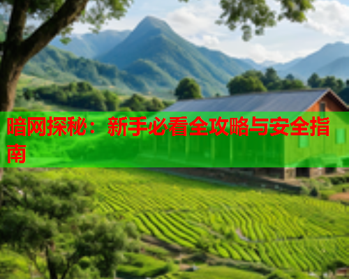 暗网探秘：新手必看全攻略与安全指南