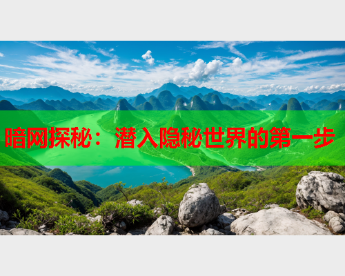 暗网探秘：潜入隐秘世界的第一步