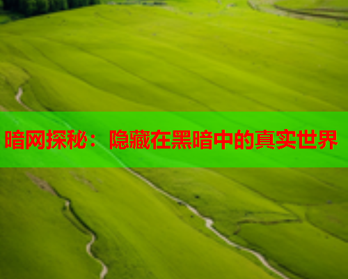 暗网探秘：隐藏在黑暗中的真实世界