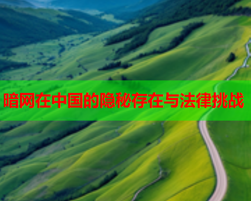 暗网在中国的隐秘存在与法律挑战