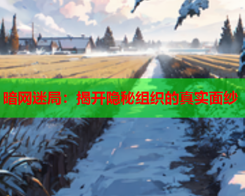暗网迷局：揭开隐秘组织的真实面纱
