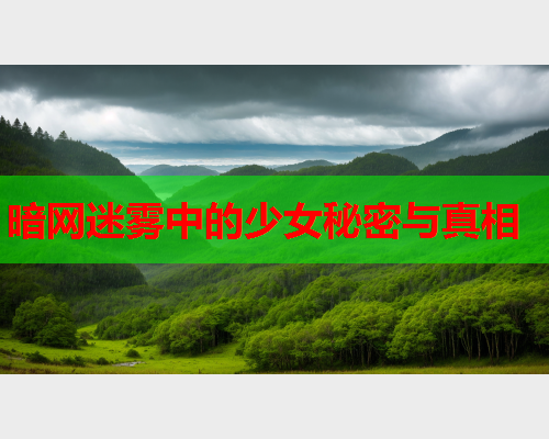 暗网迷雾中的少女秘密与真相