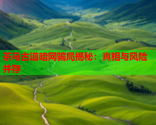 茶马古道暗网骗局揭秘：真相与风险并存