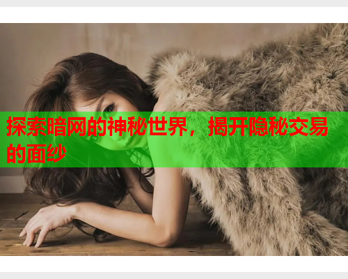 探索暗网的神秘世界，揭开隐秘交易的面纱