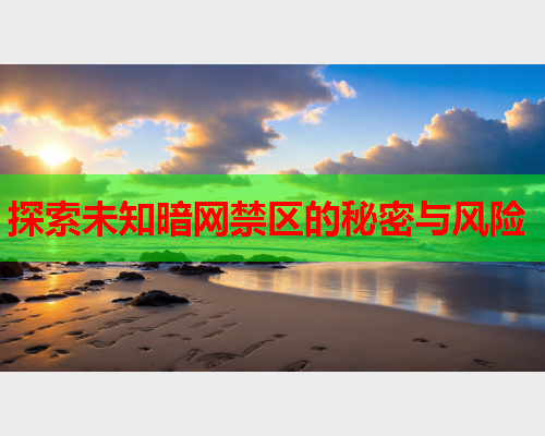 探索未知暗网禁区的秘密与风险