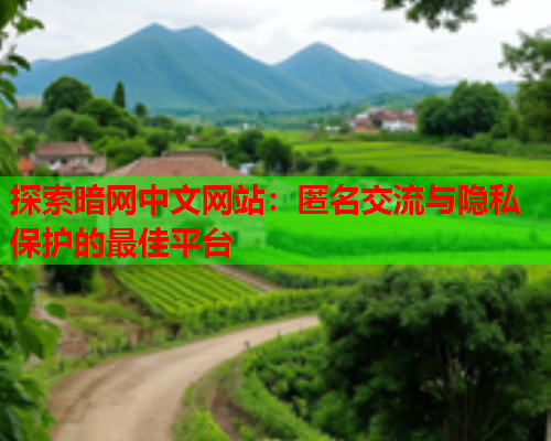 探索暗网中文网站：匿名交流与隐私保护的最佳平台