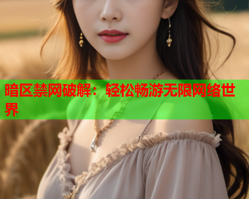 暗区禁网破解：轻松畅游无限网络世界