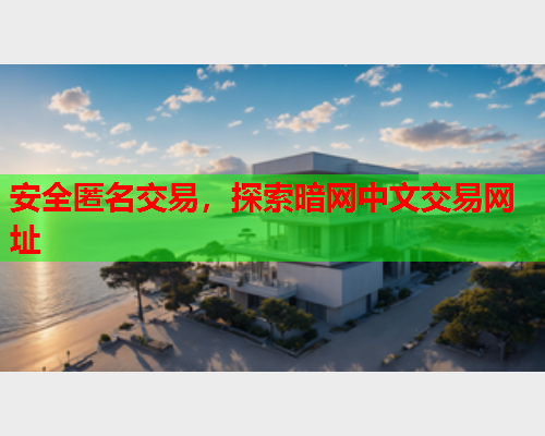 安全匿名交易，探索暗网中文交易网址