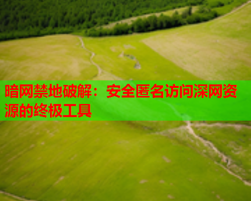 暗网禁地破解：安全匿名访问深网资源的终极工具